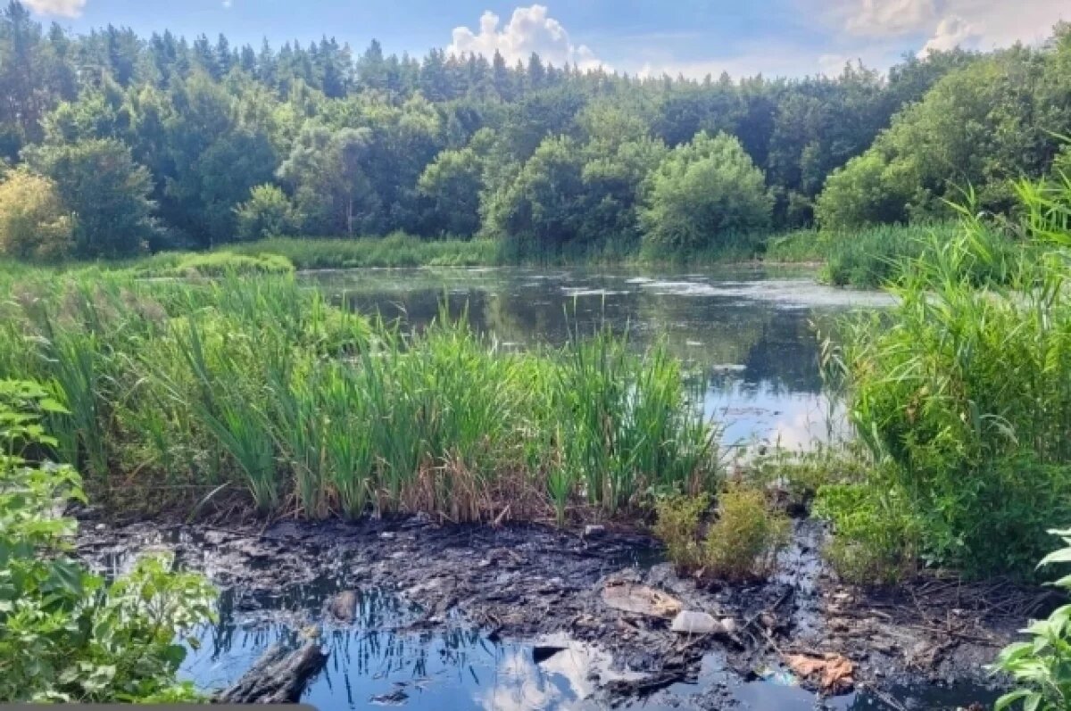    Житель Волгограда заплатит 1,3 млн рублей за слив отходов у Себрово