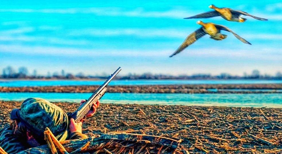 📌Картечь на гуся: Осознанный выбор хитрого профи или непростительная глупость? Разбираем мифы и факты