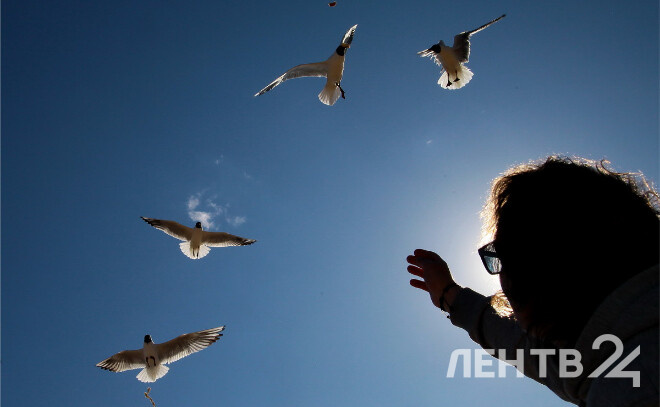    © Анастасия Илюшина / ЛенТВ24, из архива