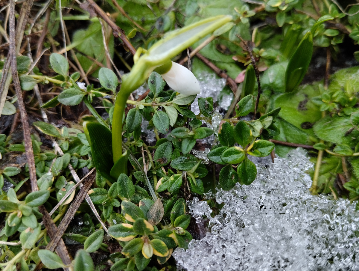 14 марта 2025 на даче