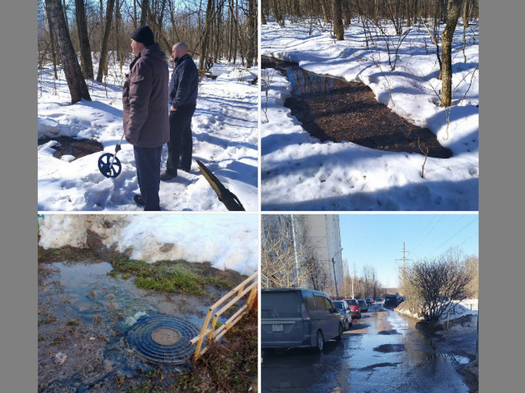     Фото: Дирекция ООПТ Воронежской области, https://vk.com/wall-223898928_1832