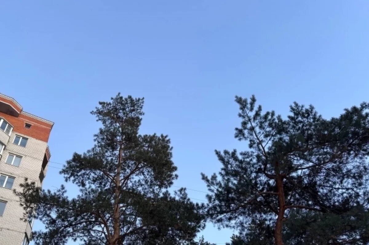    Атаку 53 БПЛА отразила ПВО в ночь с 12 на 13 марта над Севастополем