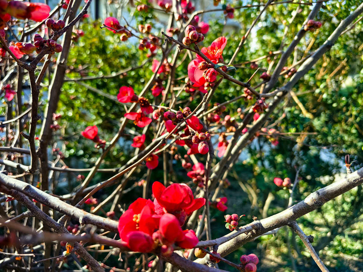 Сегодня. Фото автора канала