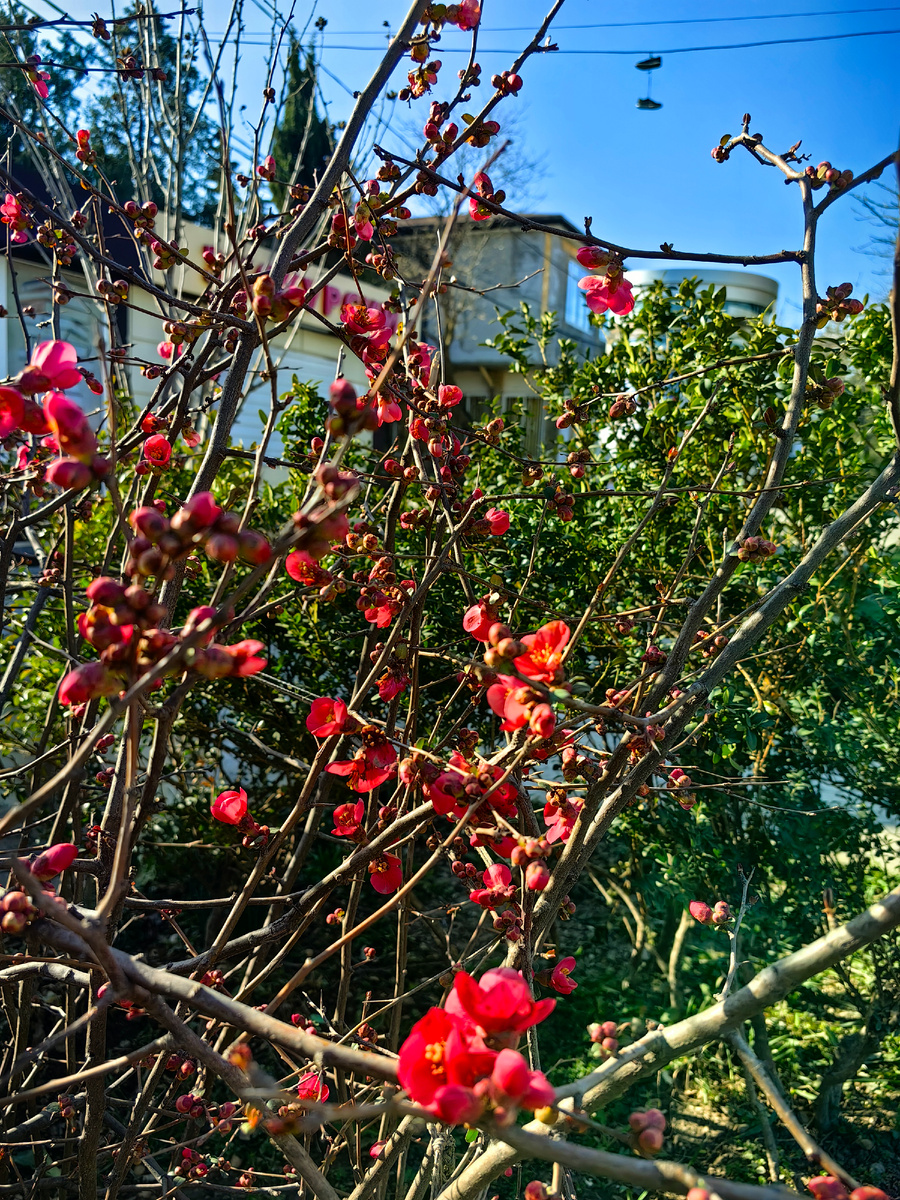 Сегодня. Фото автора канала