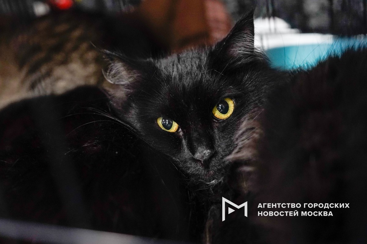 Фотограф: Александр Авилов