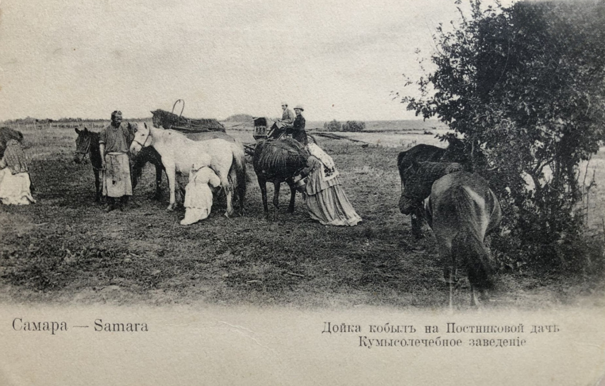 Фото: из фондов музея им. П. В. Алабина