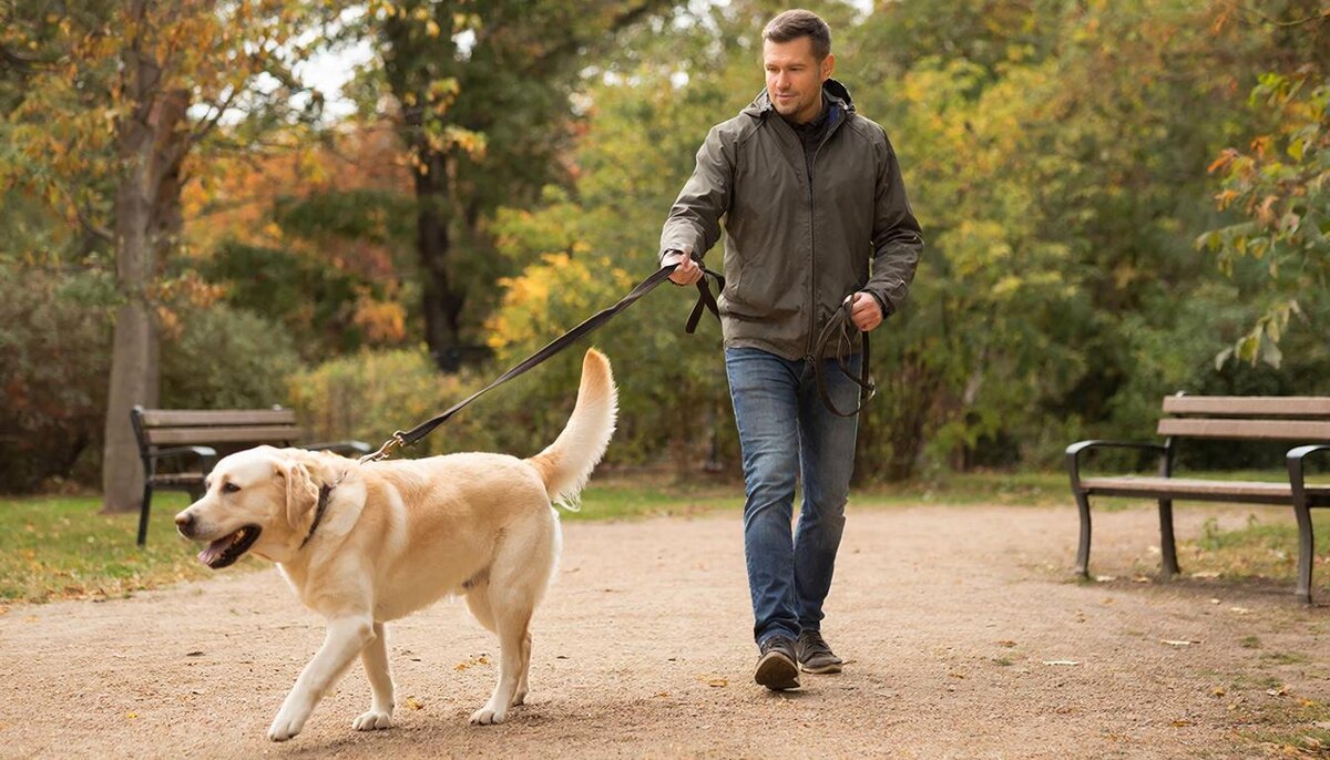 Изображение сгенерировано GigaChat