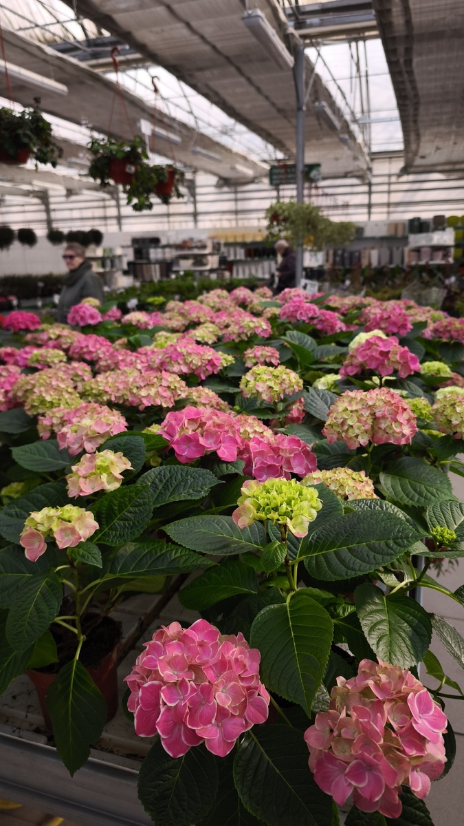 Это фото для заставки