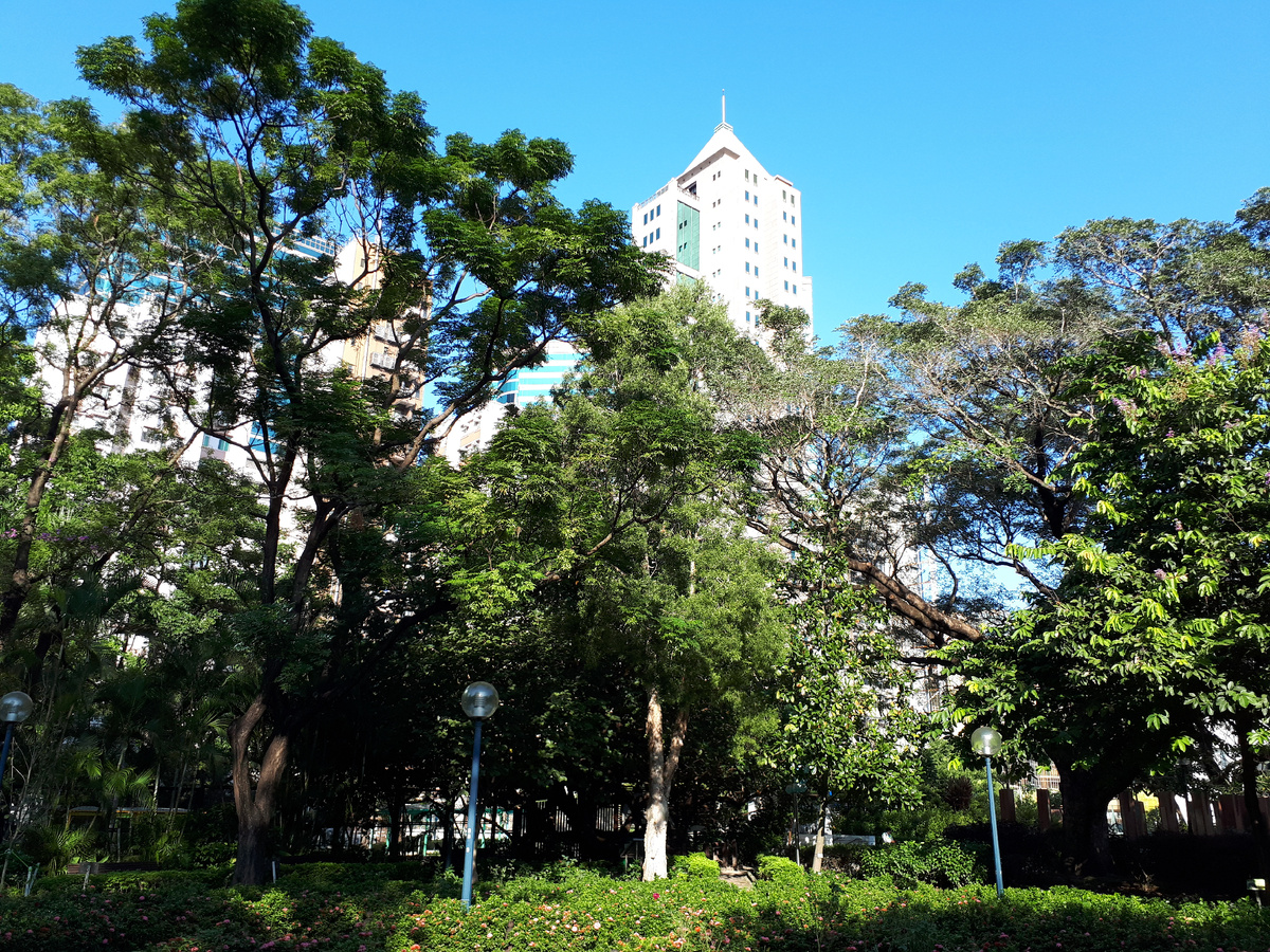 Отыскал уголок тропического леса посреди бетонных джунглей