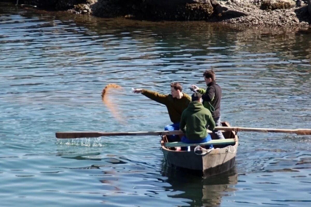    Калужских бойцов спецоперации обучат фермерскому делу