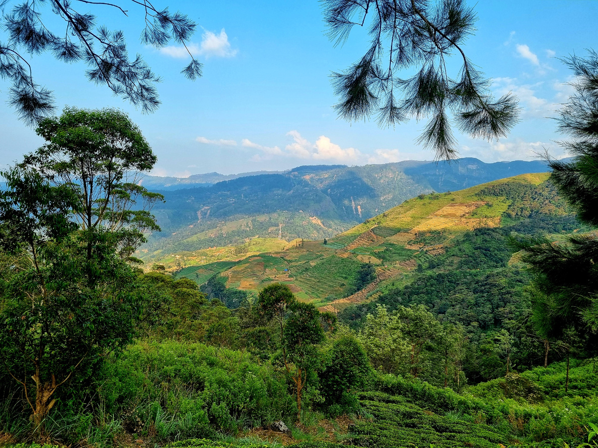 Мандарам Нувара. Шри-Ланка. Фото автора статьи.