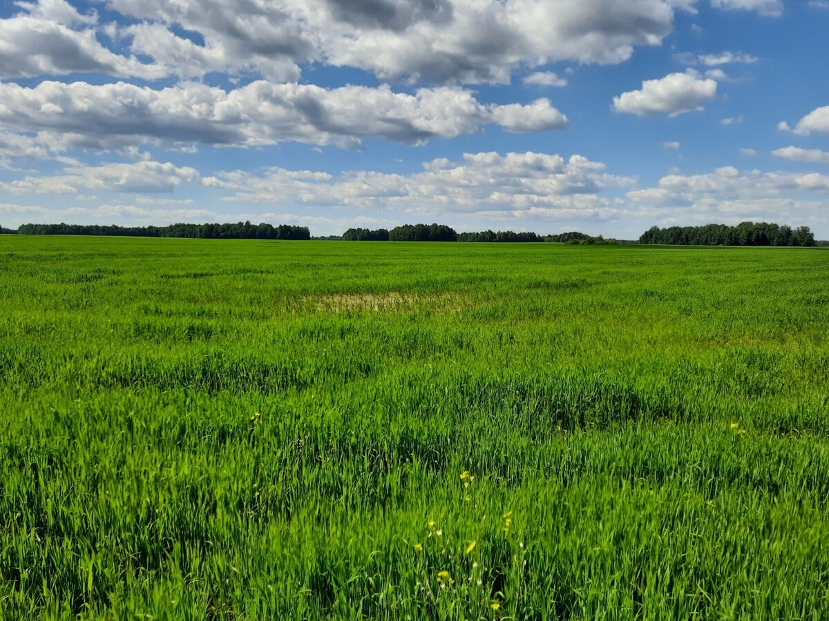 В России могут уравнять штрафы для нарушителей земельного контроля.  Фото: ФедералПресс / Ксения Кобалия