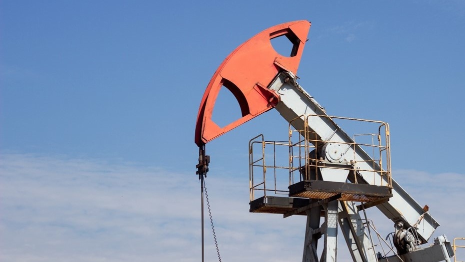    Автор фото: HenadziPechan / / Shutterstock / FOTODOM