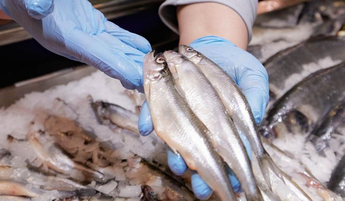     Корюшка. Источник: mos ru Автор фото: Пресс-служба Мэра и Правительства Москвы