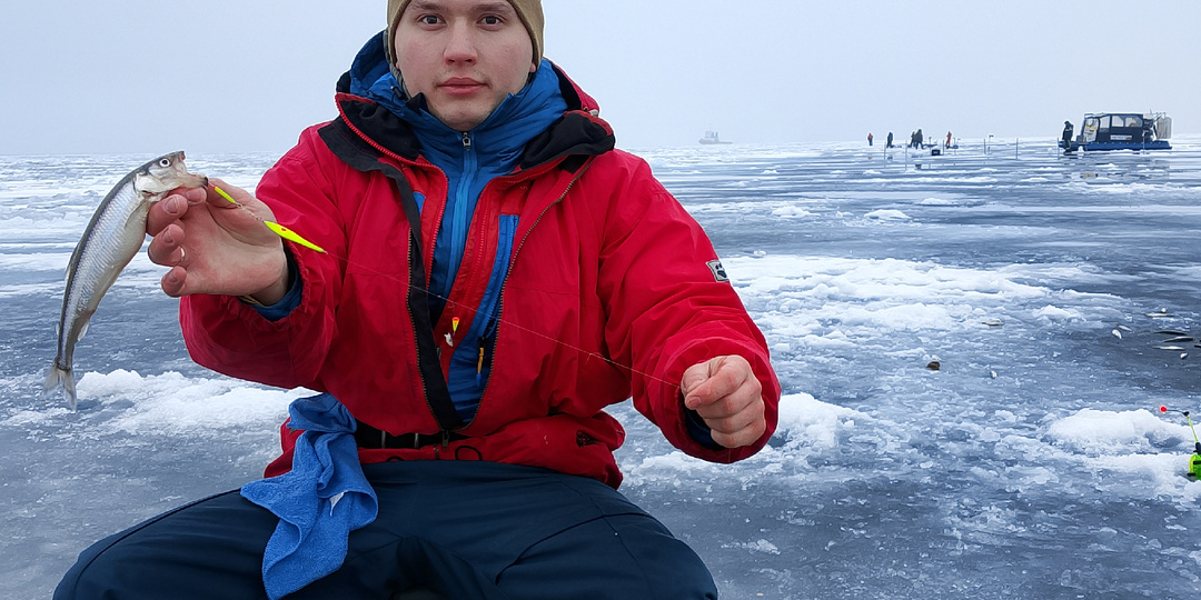 Тактика поиска трофейной корюшки