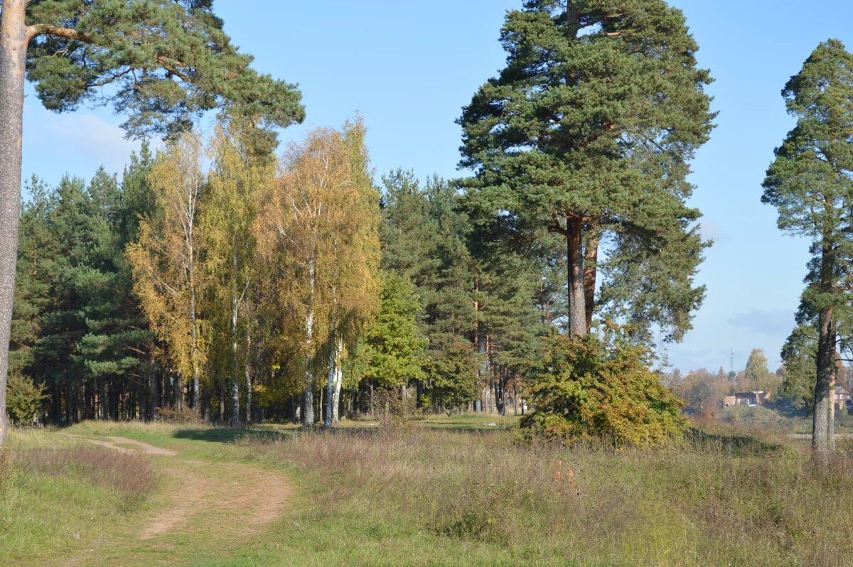    Стали известны скверы и парки, которые обустроят в Пскове в 2026 году