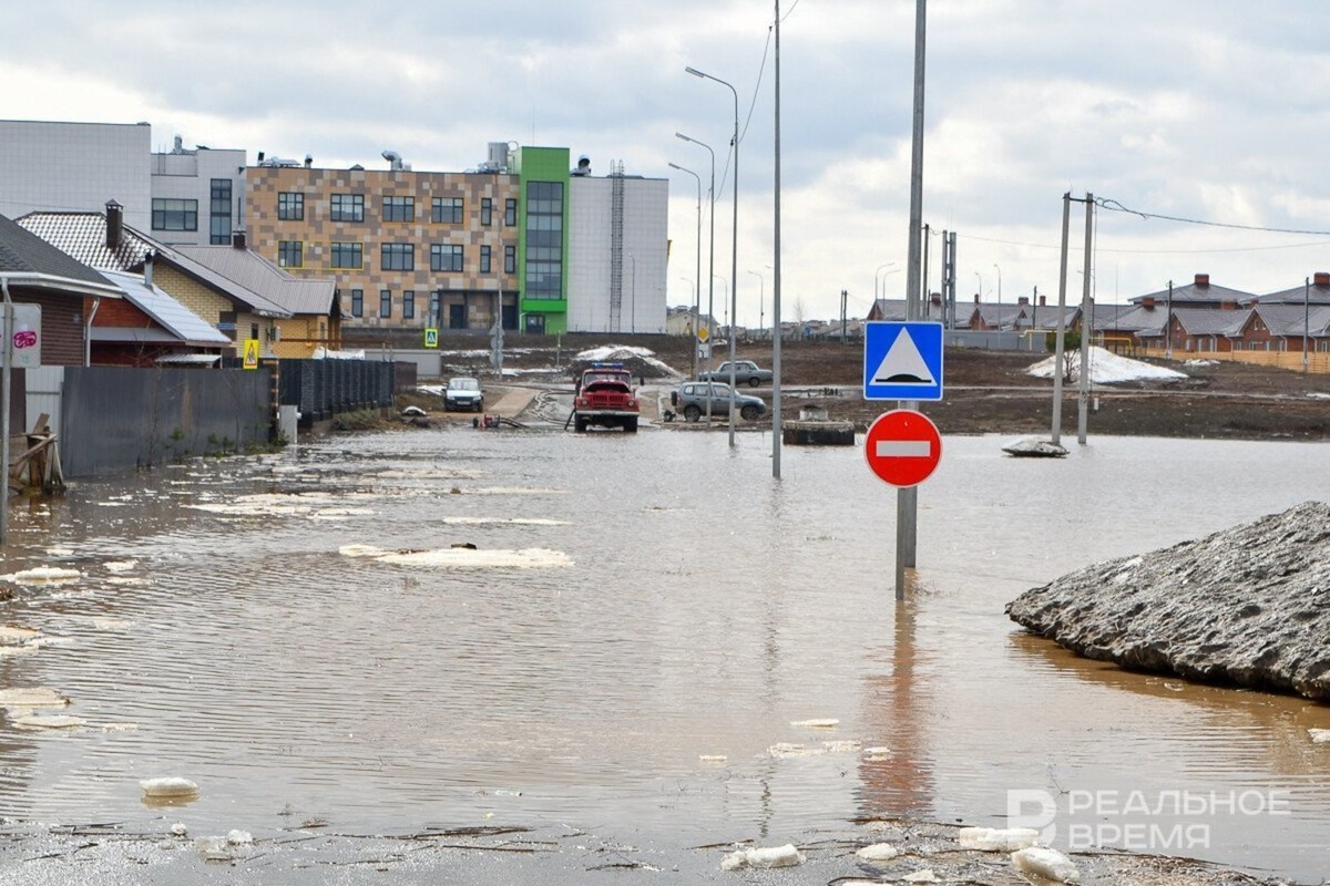   Максим Платонов / realnoevremya.ru