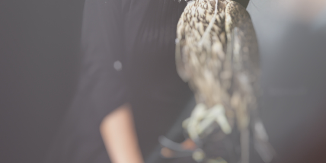 Аксессуары как язык: что рассказывают о нас детали гардероба?