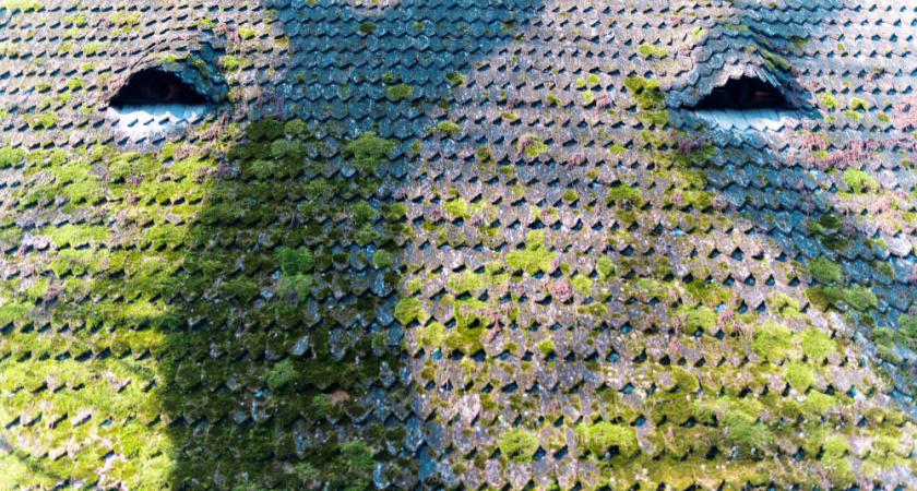    freepik (иллюстративное фото)