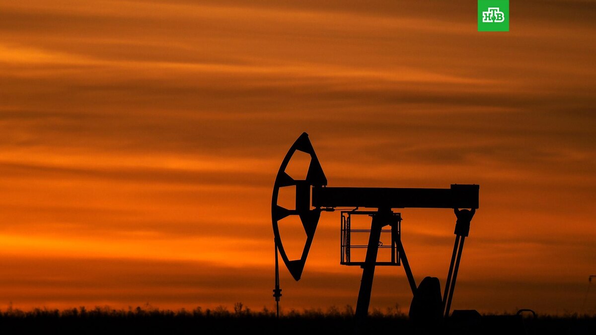    Фото: РИА Новости © 2026, Максим Богодвид