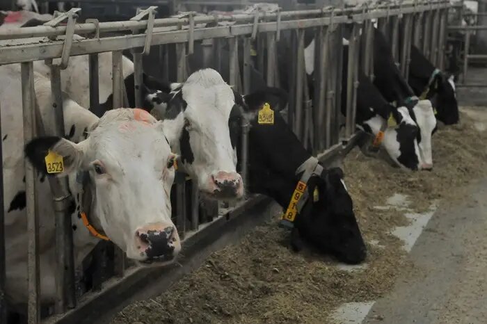     © РИА Новости. Алексей Сухоруков