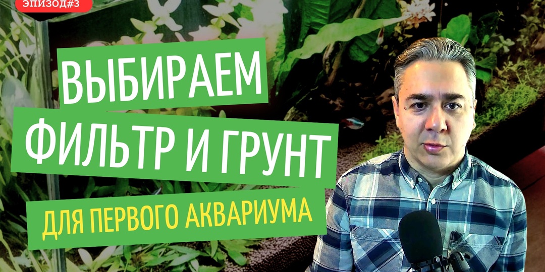 Выбор фильтра и грунта для первого аквариума