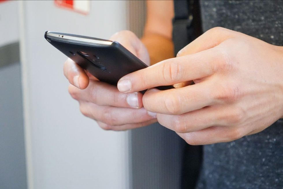    Фото: pixabay.com Василий Шеин