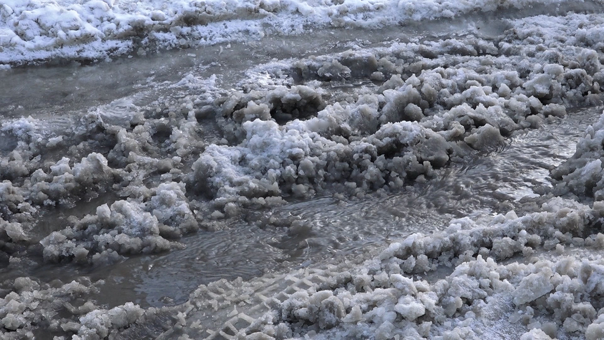    Фото: ГТРК Карелия