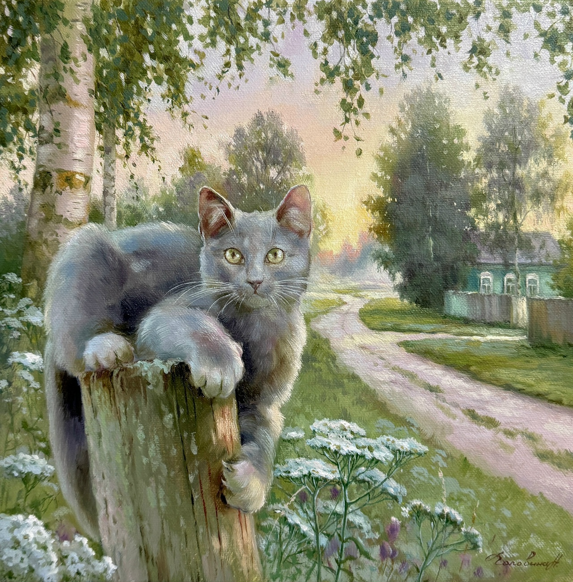 Котнок "Дымка"