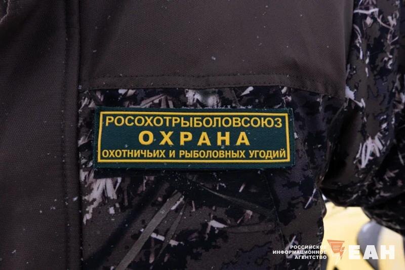    ЕАН. Нашивка охотинспектора