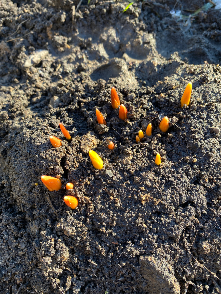 Два дня назад