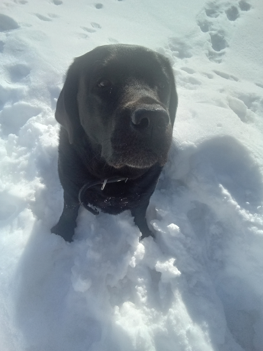 Фото автора. 