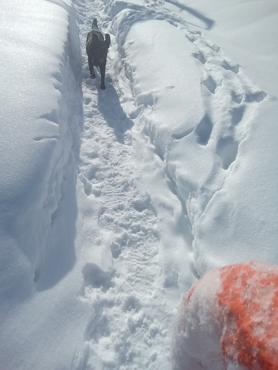 Фото автора. 