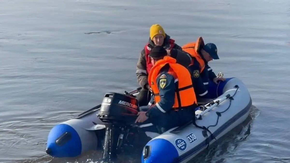    Поисковые работы. © МЧС Московской области