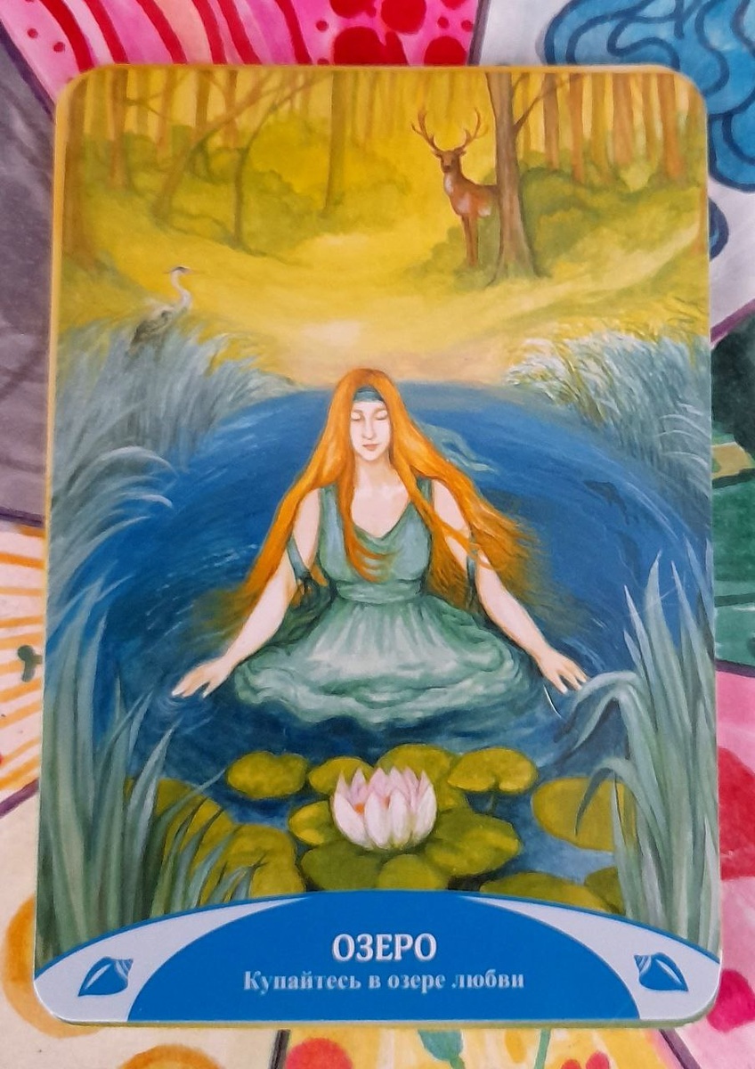 фото  автора