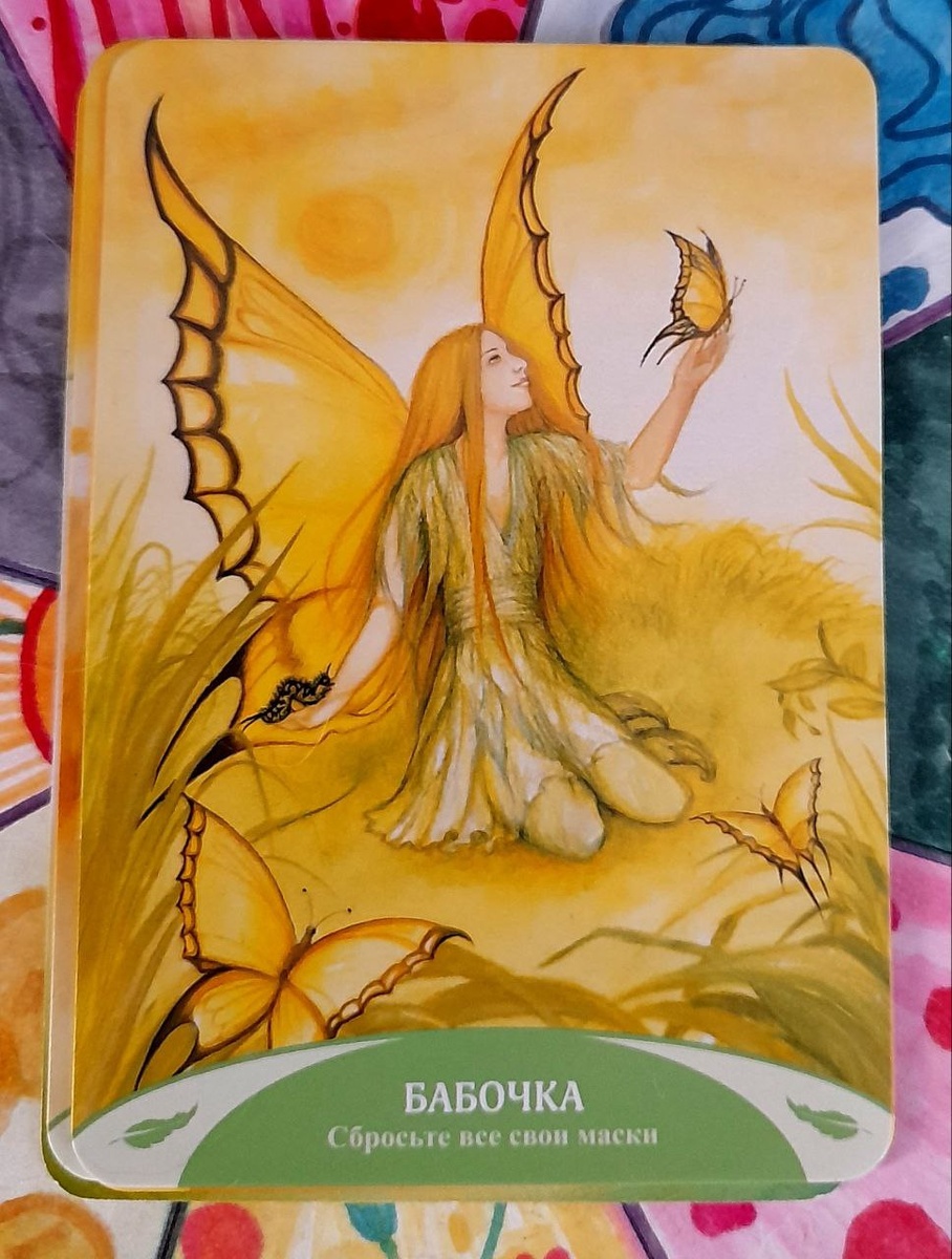 фото  автора  