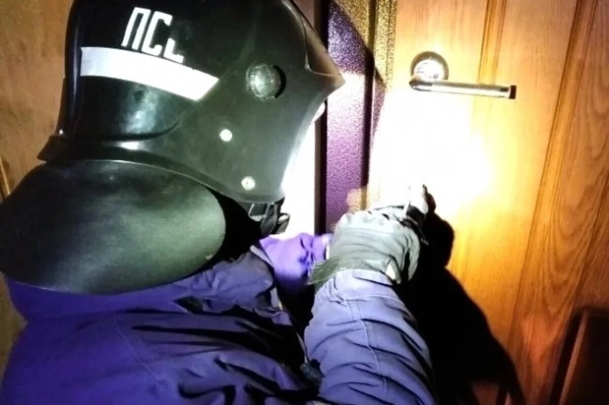    Ульяновские спасатели помогли женщине вернуться домой к маленькому сыну