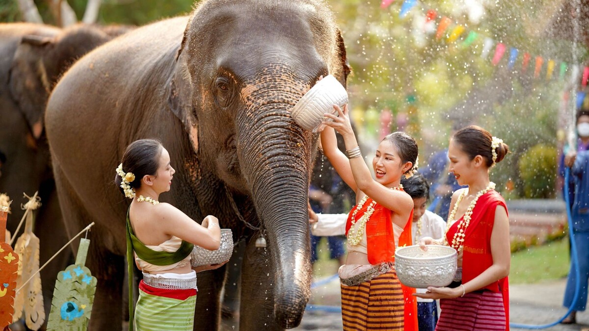    Фото: Atiwat Witthayanurut/Shutterstock/Fotodom