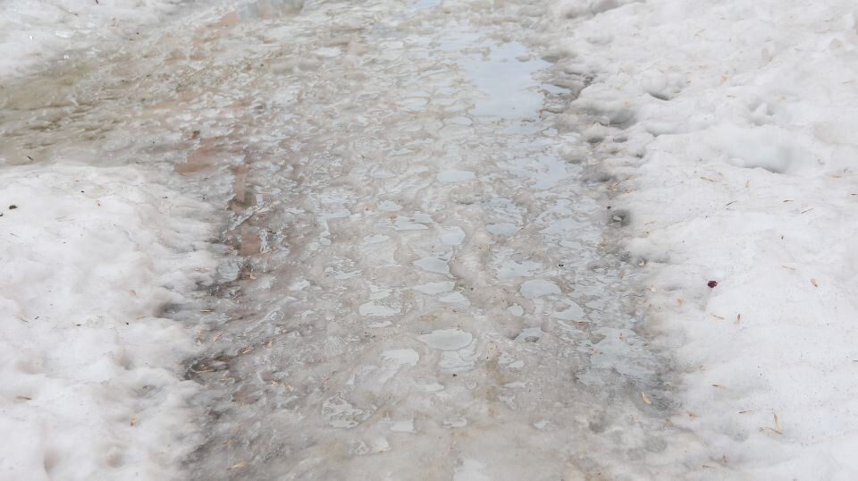    Оттепель в Барнауле. Источник: Виталий Барабаш