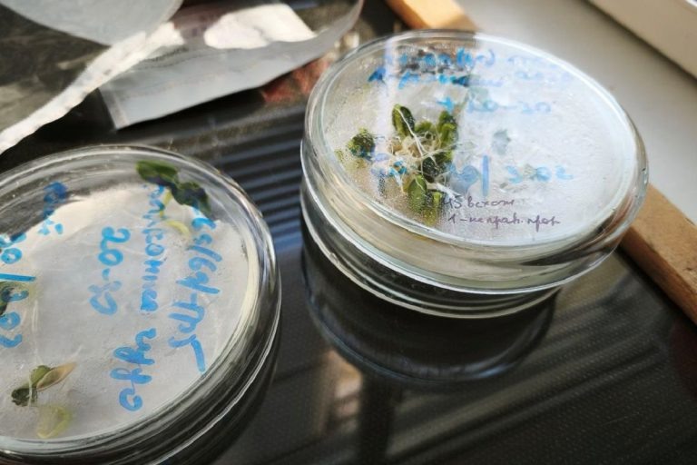    фото: Управление Россельхознадзора по Тверской и Ярославской областям Олег Еремеев