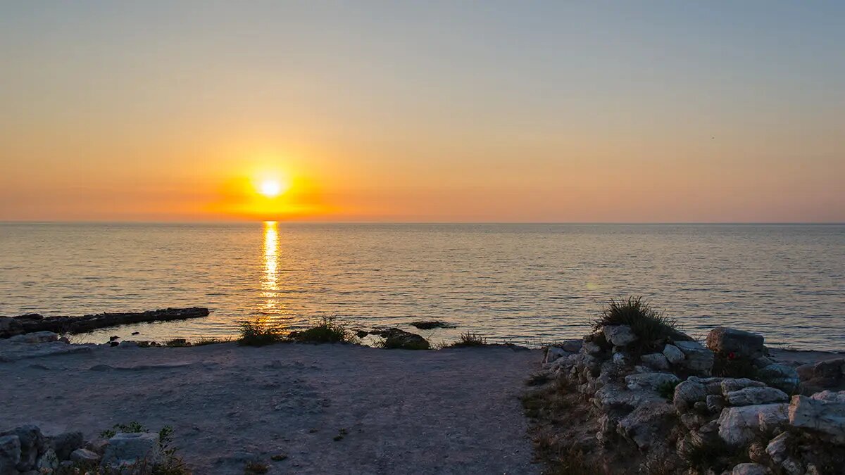    Источник: vm.ru/ Вероника Ситникова