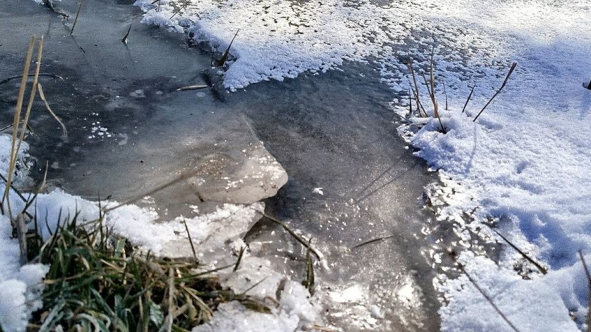    Фото: телеканал «Краснодар»