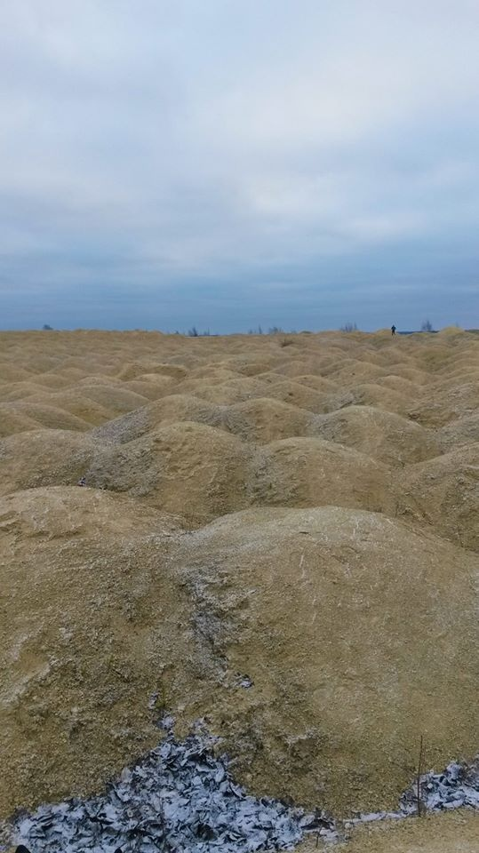 Фото из личного архива. Марс - территория России. Илон - ты опоздал. Мы уже посадили там яблони (видны на заднем плане)