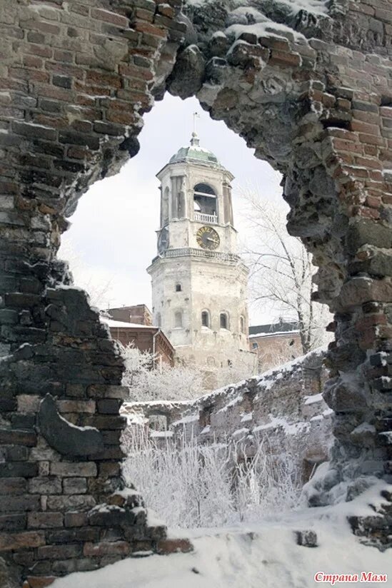 Фото - из открытых интернет-источников