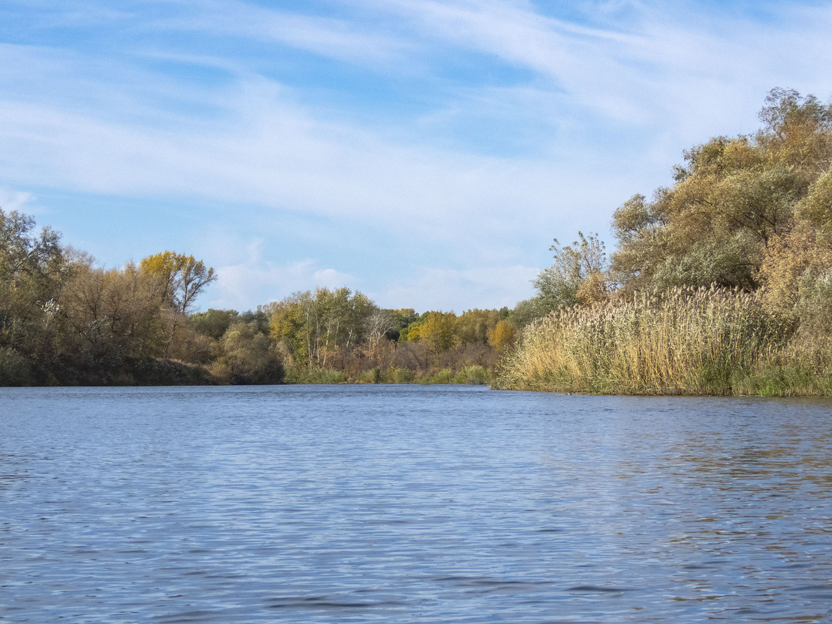 Медведица у Красного Яра