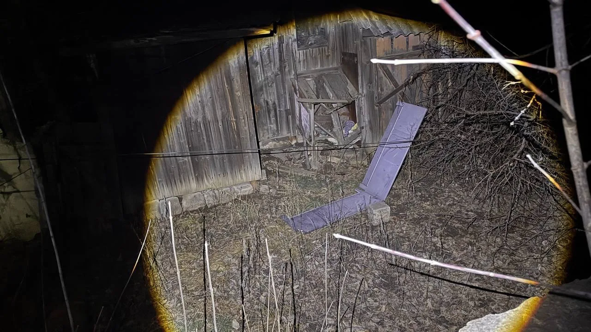    Фото: Официальный канал Главы ЛНР Леонида Пасечника в МАХ