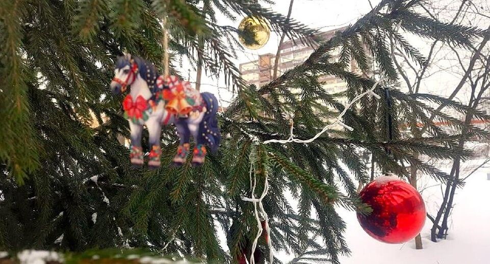    пресс-служба администрации г.о. Долгопрудный