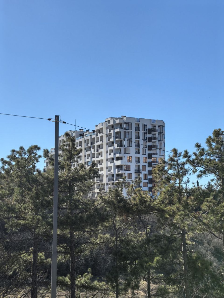 Фото со стороны гор и леса, личные кадры