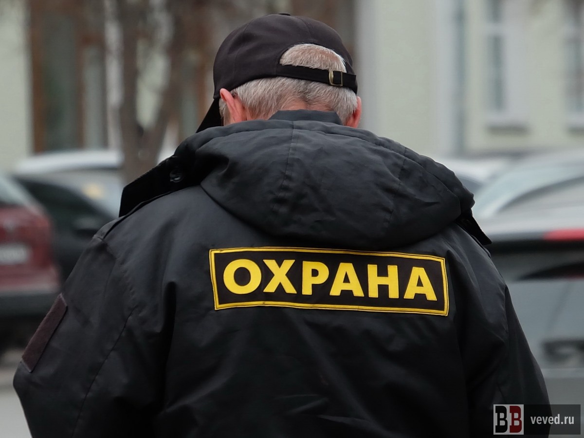     Фото: Владислав Постников / Вечерние ведомости