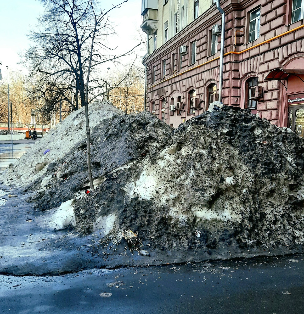Фото автора. Московский снег, середина марта.